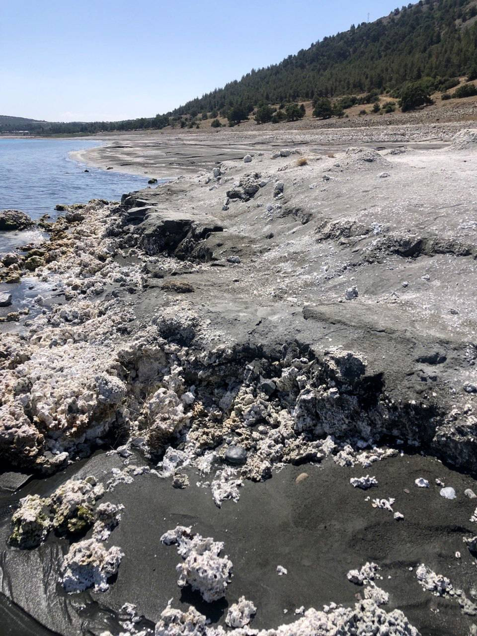 Doğa harikası ölüyor. Ayak bile basılmaması gerekirken dozerle girdiler - Resim: 4